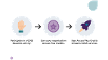 GOSS Rewards Diagram Body Image