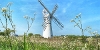 South Norfolk and Broadland Article Body Image